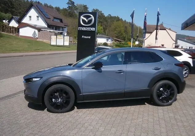 Angebotsdetails Mazda CX-30 POLYMETAL GRAY