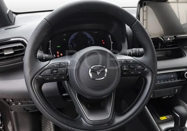 Angebotsdetails Mazda 2 Lead Grey (Grau)