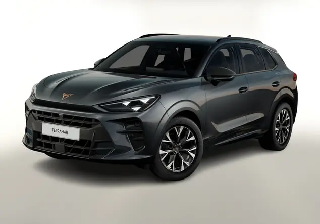 Angebotsdetails Cupra Terramar Grau