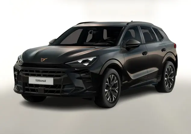 Angebotsdetails Cupra Terramar Schwarz
