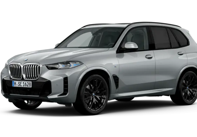 Angebotsdetails BMW X5 xDrive30d Skyscraper Grau metallic