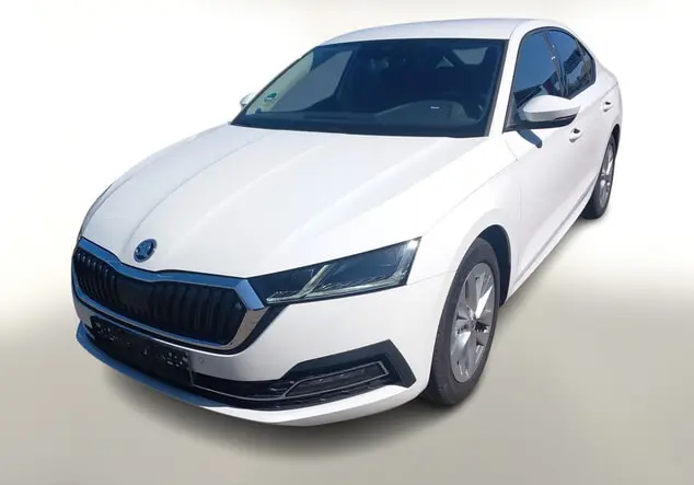 Angebotsdetails Skoda Octavia Weiß