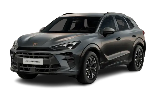 Angebotsdetails Cupra Terramar 1.5 eTSI MHEV 110kW Timanfaya Grau Metallic