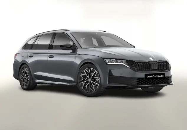 Angebotsdetails Skoda Octavia Combi TDI FL vEHK Grau