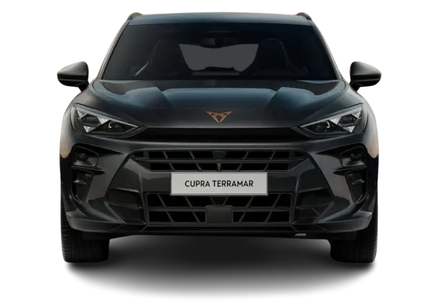 Angebotsdetails Cupra Terramar 2.0 TSI 195kW VZ 4Drive Timanfaya Grau Metallic
