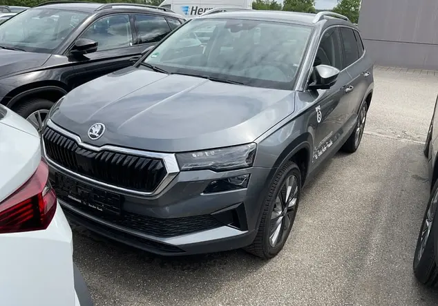 Angebotsdetails Skoda Karoq Graphite-Grau