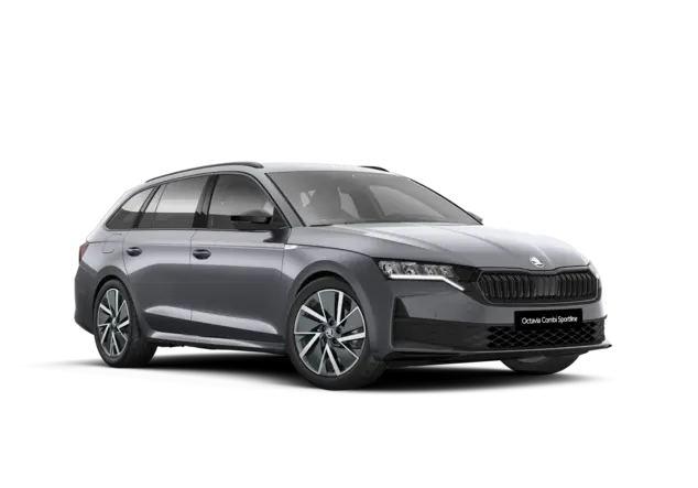 Angebotsdetails Skoda Octavia Graphite-Grau Metallic