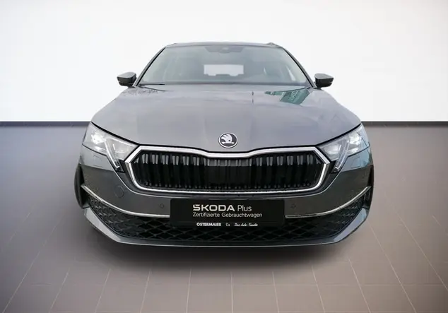 Angebotsdetails Skoda Octavia Graphite-Grau