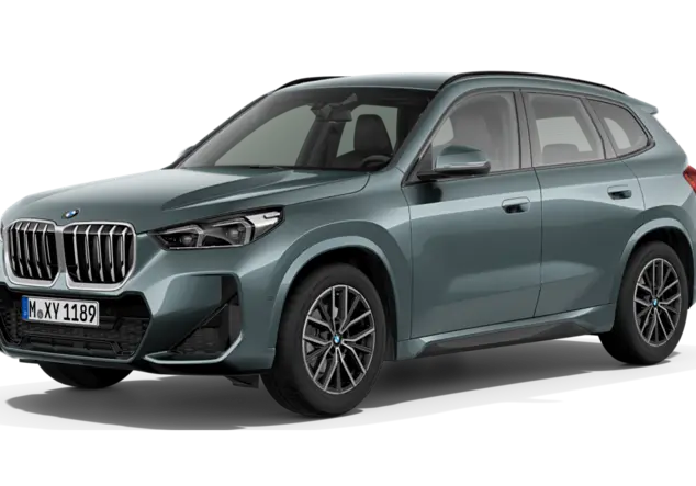 Angebotsdetails BMW X1 sDrive20i Steptronic Cape York Gruen Metallic