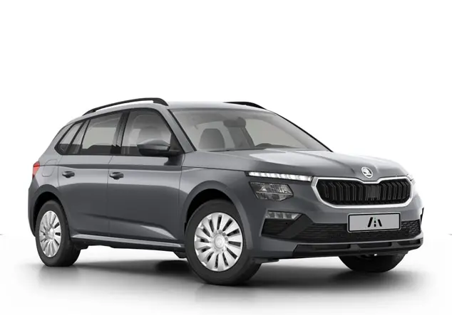 Angebotsdetails Skoda Kamiq Essence Silver/Grey