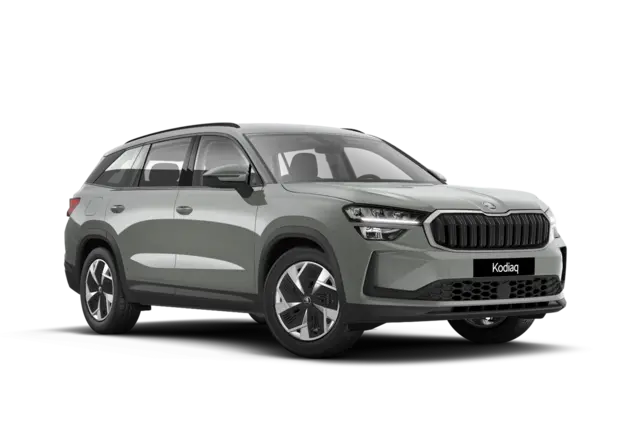 Angebotsdetails Skoda Kodiaq Stahl-Grau