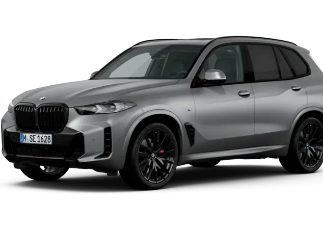 Angebotsdetails BMW X5 xDrive30d Frozen Pure Grey Metallic