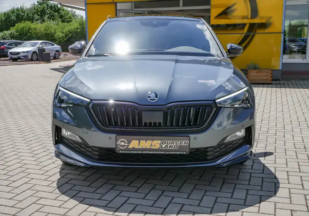 Angebotsdetails Skoda Scala grau - metallic