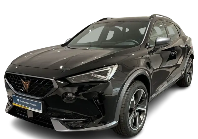 Angebotsdetails Cupra Formentor Magnetic-Grau
