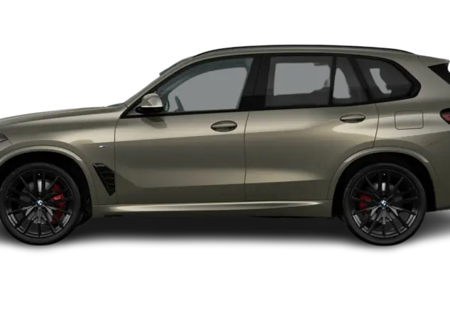 Angebotsdetails BMW X5 xDrive40d Manhattan Metallic