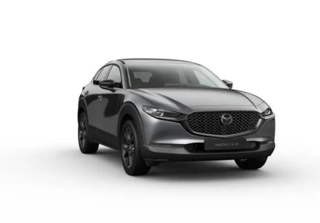 Angebotsdetails Mazda CX-30 Machine Gray