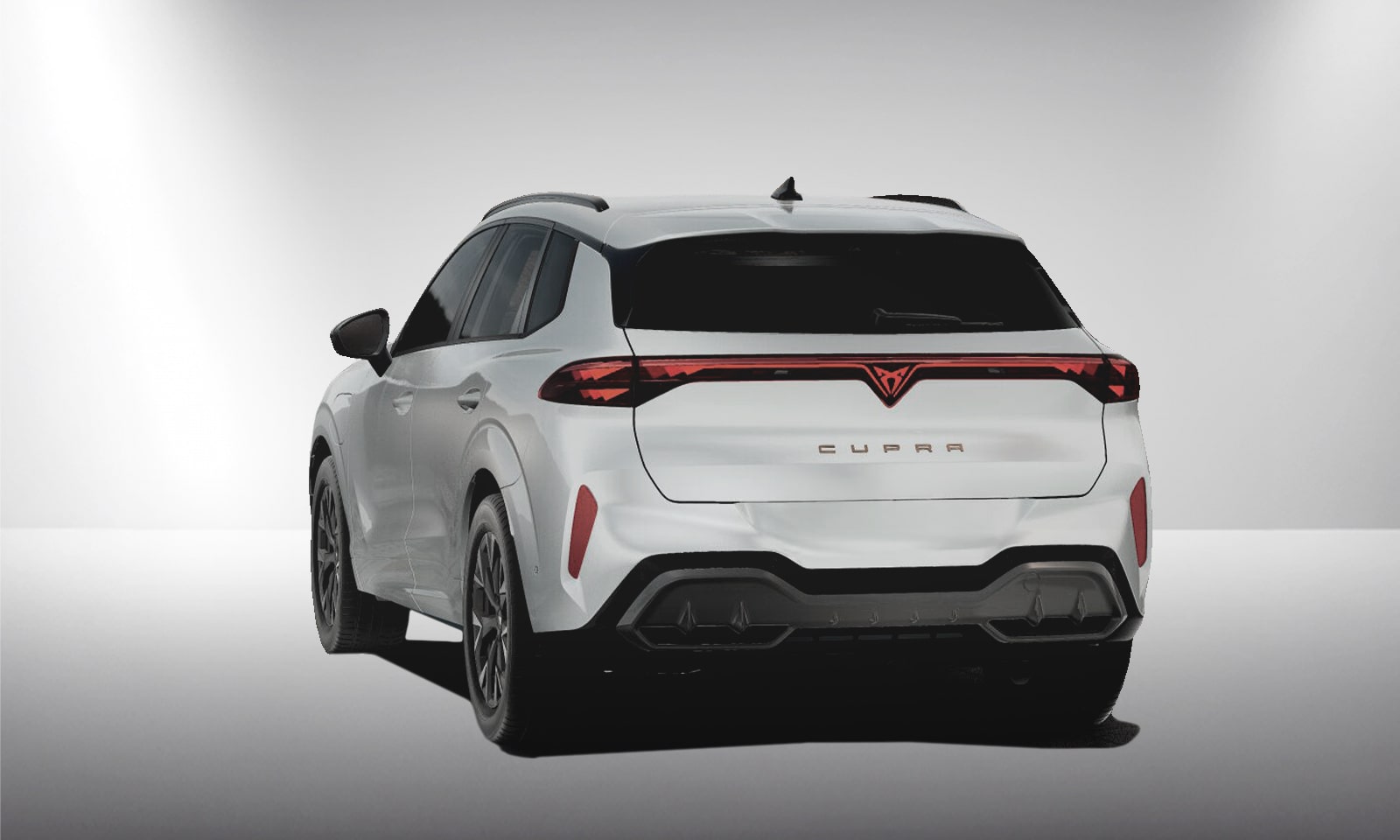 Angebotsdetails Cupra Terramar Variabel