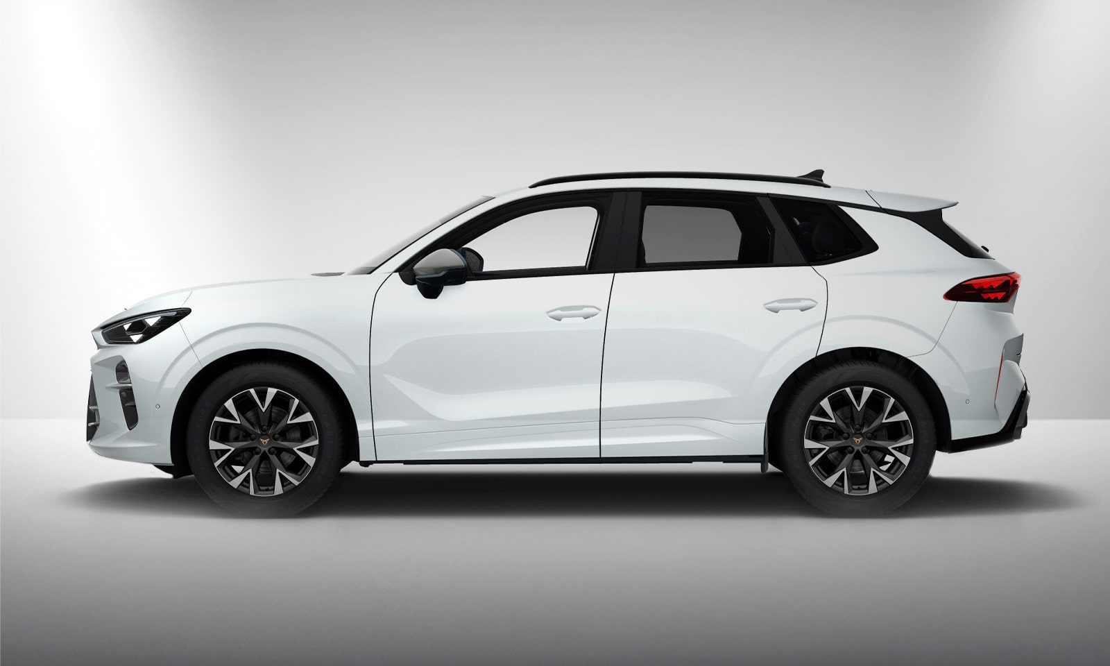 Angebotsdetails Cupra Terramar Variabel