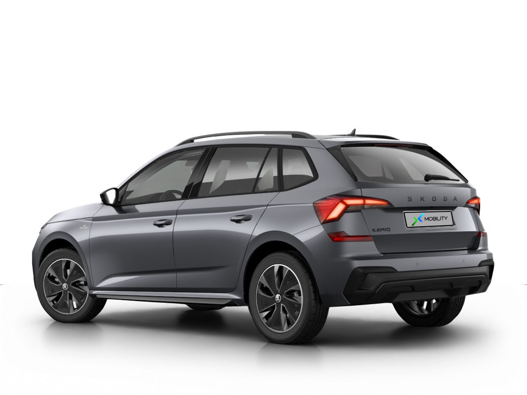 Angebotsdetails Skoda Kamiq Tour Silber/Grau