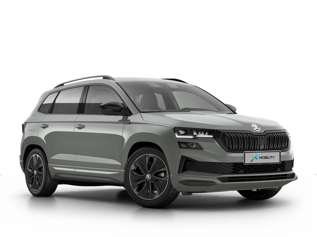 Angebotsdetails Skoda Karoq 2.0 TSI Sportline Silber/Grau